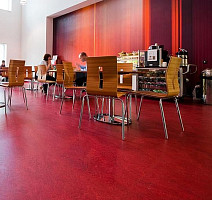 Forbo Marmoleum Decibel on Order 327335 ruby фото 2 | FLOORDEALER